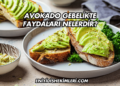 Avokado Gebelikte Faydaları Nelerdir?