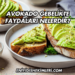 Avokado Gebelikte Faydaları Nelerdir?