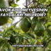 Avokado Meyvesinin Faydaları Nelerdir?