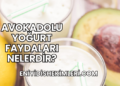 Avokadolu Yoğurt Faydaları Nelerdir?