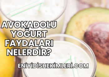 Avokadolu Yoğurt Faydaları Nelerdir?