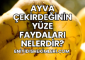 Ayva Çekirdeğinin Yüze Faydaları Nelerdir?