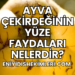 Ayva Çekirdeğinin Yüze Faydaları Nelerdir?