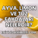 Ayva, Limon ve Tuz Faydaları Nelerdir?