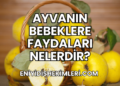 Ayvanın Bebeklere Faydaları Nelerdir?