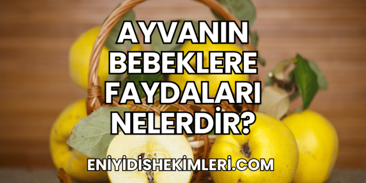 Ayvanın Bebeklere Faydaları Nelerdir?
