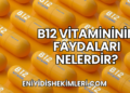 B12 Vitamininin Faydaları Nelerdir?