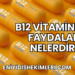 B12 Vitamininin Faydaları Nelerdir?