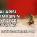 Bal Arısı Sokmasının Faydaları Nelerdir?