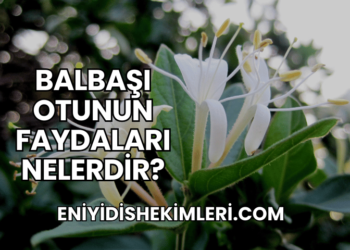Balbaşı Otunun Faydaları Nelerdir?
