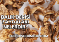 Balık Derisi Faydaları Nelerdir?