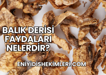 Balık Derisi Faydaları Nelerdir?