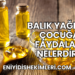 Balık Yağının Çocuğa Faydaları Nelerdir?