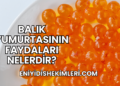 Balık Yumurtasının Faydaları Nelerdir?