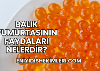 Balık Yumurtasının Faydaları Nelerdir?