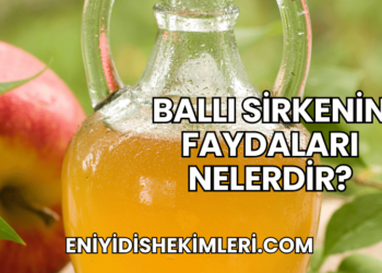 Ballı Sirkenin Faydaları Nelerdir?