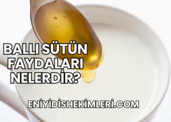Ballı Sütün Faydaları Nelerdir?