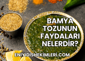 Bamya Tozunun Faydaları Nelerdir?