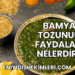 Bamya Tozunun Faydaları Nelerdir?