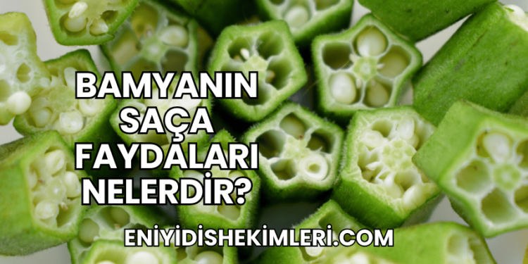 Bamyanın Saça Faydaları Nelerdir?