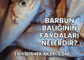 Barbun Balığının Faydaları Nelerdir?