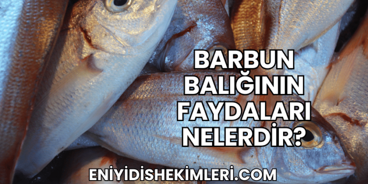 Barbun Balığının Faydaları Nelerdir?
