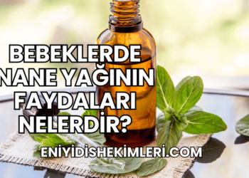 Bebeklerde Nane Yağının Faydaları Nelerdir?