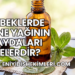 Bebeklerde Nane Yağının Faydaları Nelerdir?