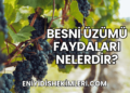 Besni Üzümü Faydaları Nelerdir?