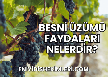 Besni Üzümü Faydaları Nelerdir?