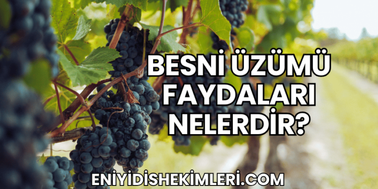 Besni Üzümü Faydaları Nelerdir?