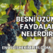 Besni Üzümü Faydaları Nelerdir?
