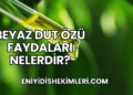 Beyaz Dut Özü Faydaları Nelerdir?