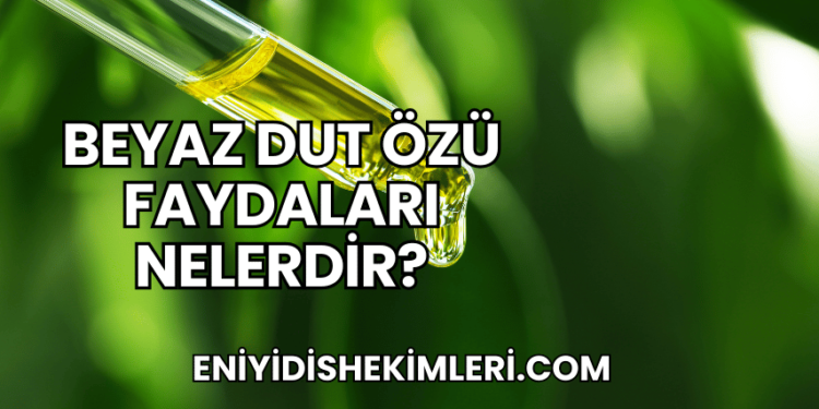 Beyaz Dut Özü Faydaları Nelerdir?