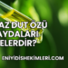 Beyaz Dut Özü Faydaları Nelerdir?