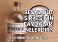 Beyaz Dut Sirkesinin Faydaları Nelerdir?