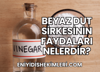Beyaz Dut Sirkesinin Faydaları Nelerdir?