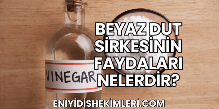Beyaz Dut Sirkesinin Faydaları Nelerdir?