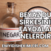 Beyaz Dut Sirkesinin Faydaları Nelerdir?