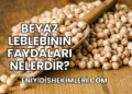 Beyaz Leblebinin Faydaları Nelerdir?