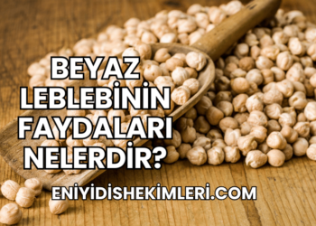 Beyaz Leblebinin Faydaları Nelerdir?