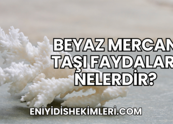 Beyaz Mercan Taşı Faydaları Nelerdir?
