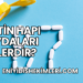 Biotin Hapı Faydaları Nelerdir?