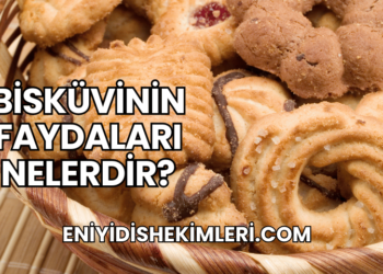 Bisküvinin Faydaları Nelerdir?