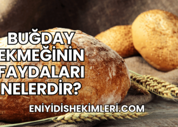Buğday Ekmeğinin Faydaları Nelerdir?
