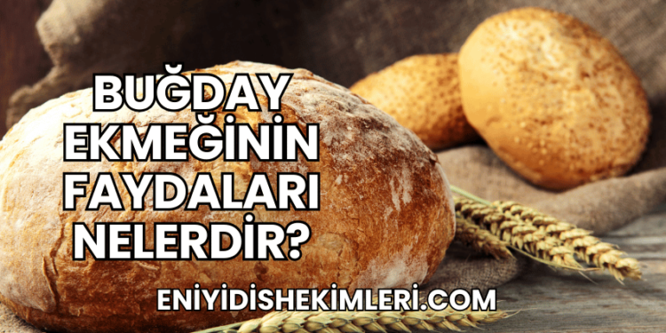 Buğday Ekmeğinin Faydaları Nelerdir?