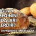 Buğday Ekmeğinin Faydaları Nelerdir?