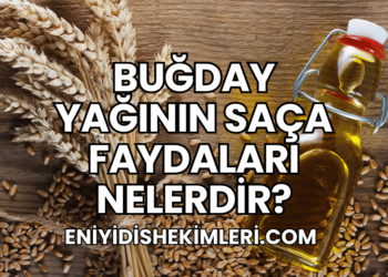 Buğday Yağının Saça Faydaları Nelerdir?