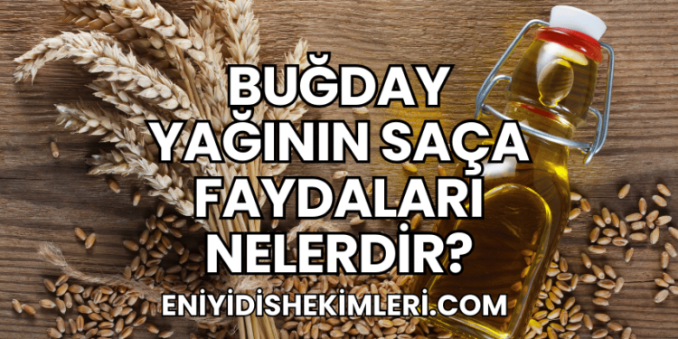 Buğday Yağının Saça Faydaları Nelerdir?