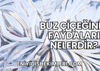 Buz Çiçeğinin Faydaları Nelerdir?